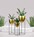 PLANTERS
