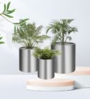 PLANTERS